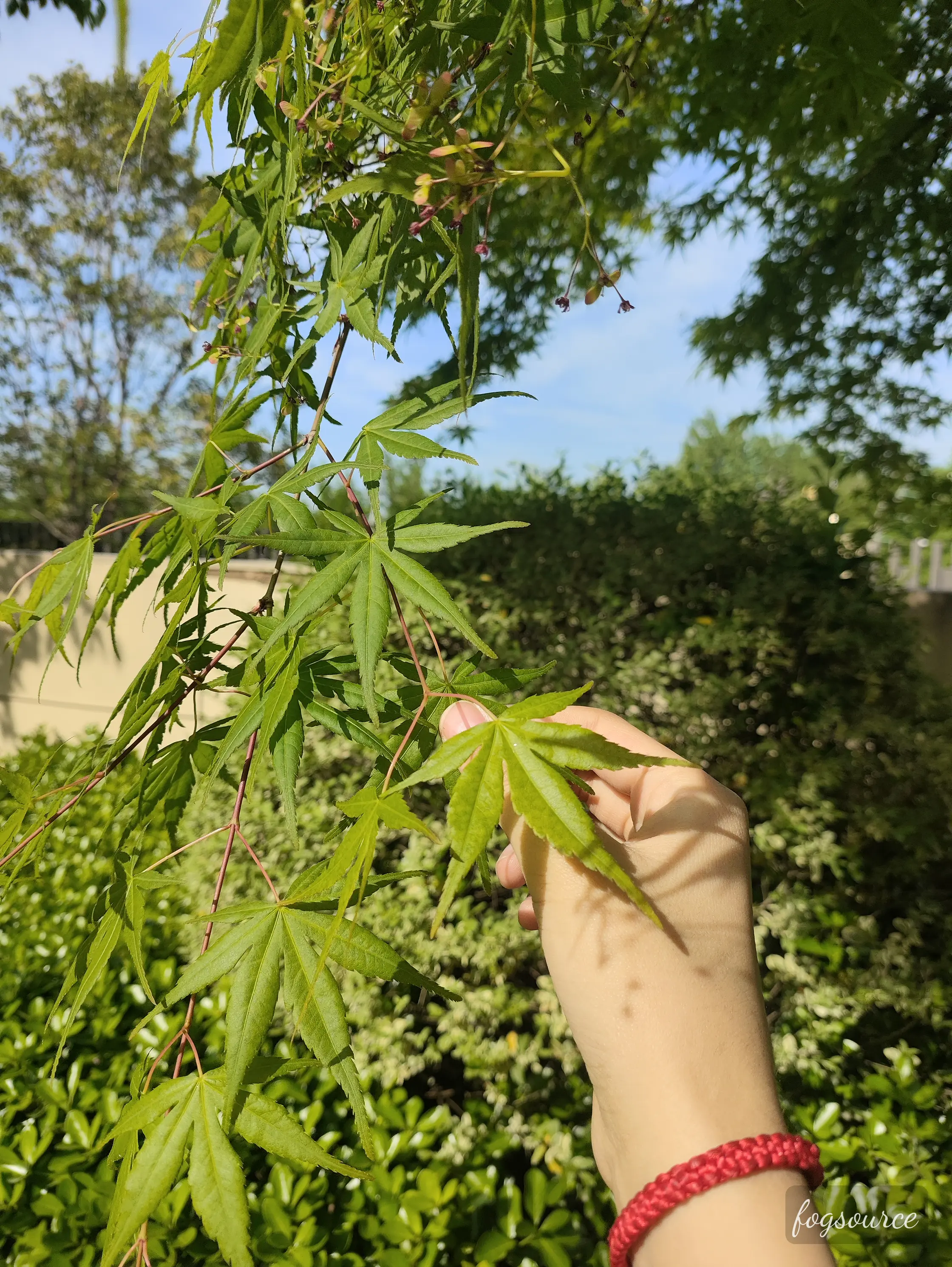 街边随拍